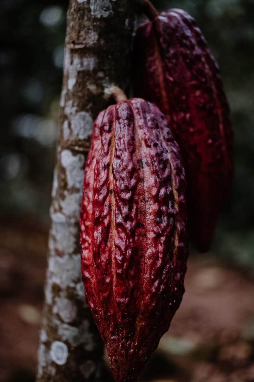 WhatsApp Image 2025-01-24 at 5.46.41 AM (16)